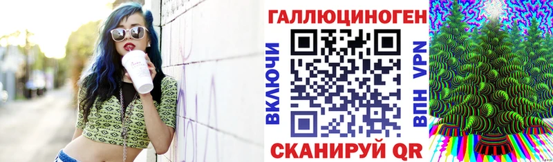 купить  сайты  Магас  Галлюциногенные грибы Psilocybe 